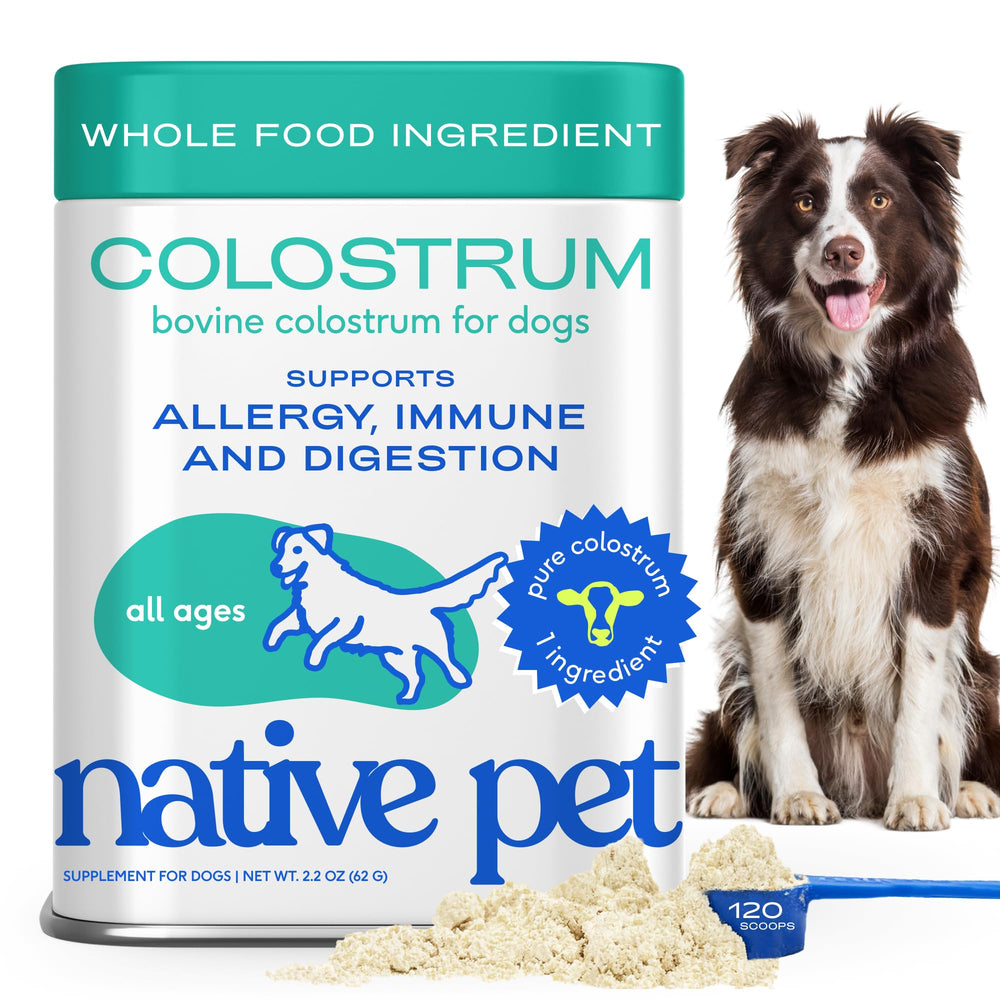 Native Pet Colostrum – poudre bovine, immunité et peau saine.