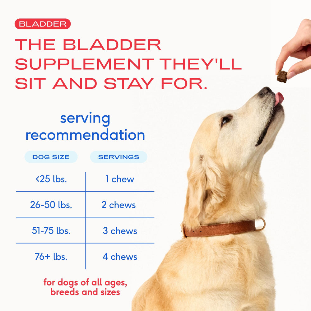 Native Pet formule vétérinaire conçue pour le bien-être urinaire canin.