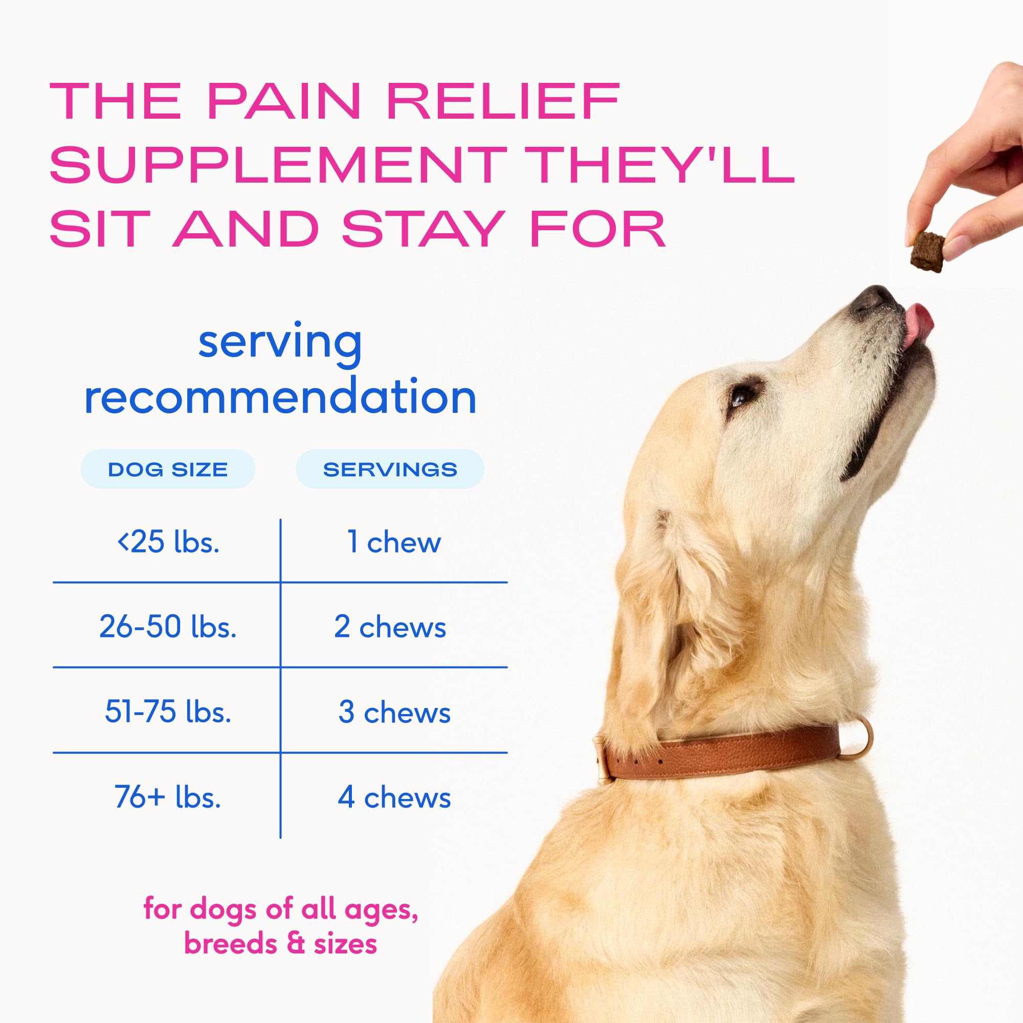 Native Pet Inflammatory Care – convient à toutes tailles de chiens.