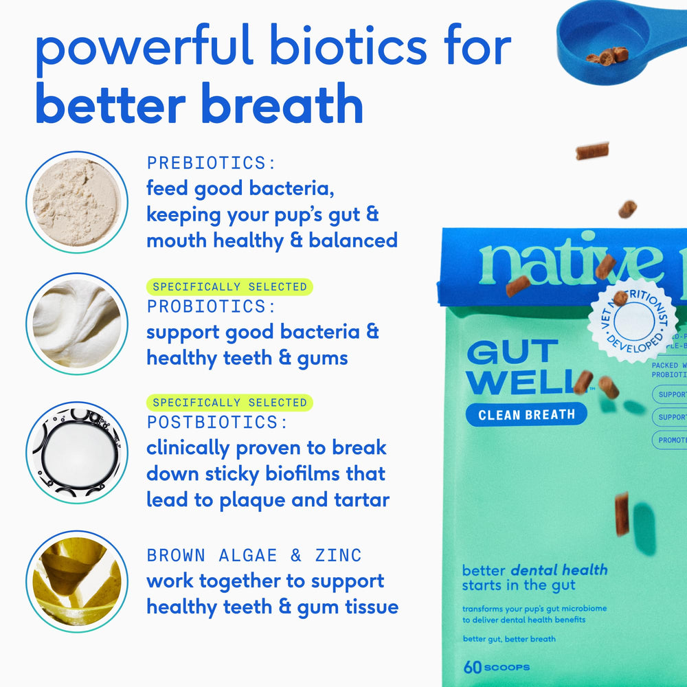 Qualité assurée GutWell fabriqué aux États‑Unis avec des actifs solides.