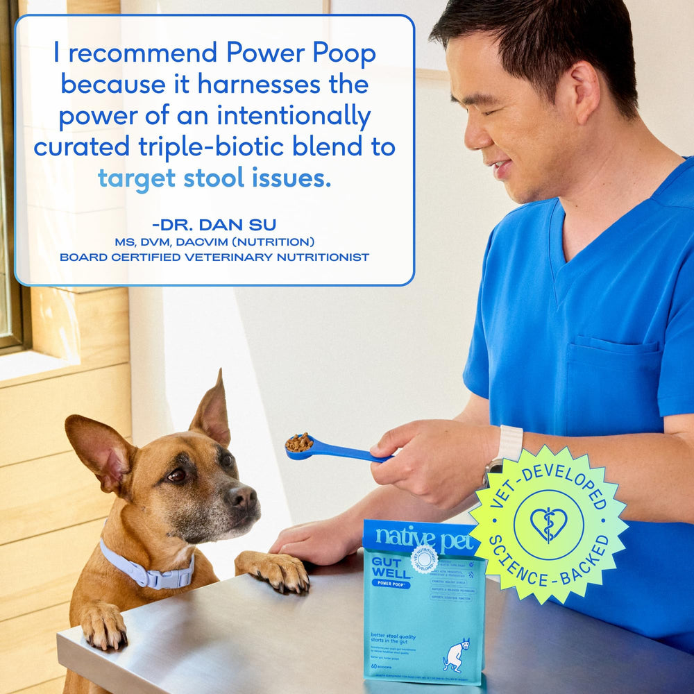Native Pet GutWell Power Poop — cuillère-doseuse pratique pour doser précisément à chaque repas.