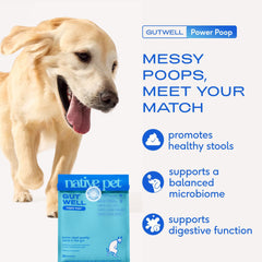 Native Pet GutWell Power Poop — doseur inclus facilitant l'ajout quotidien dans l'alimentation.