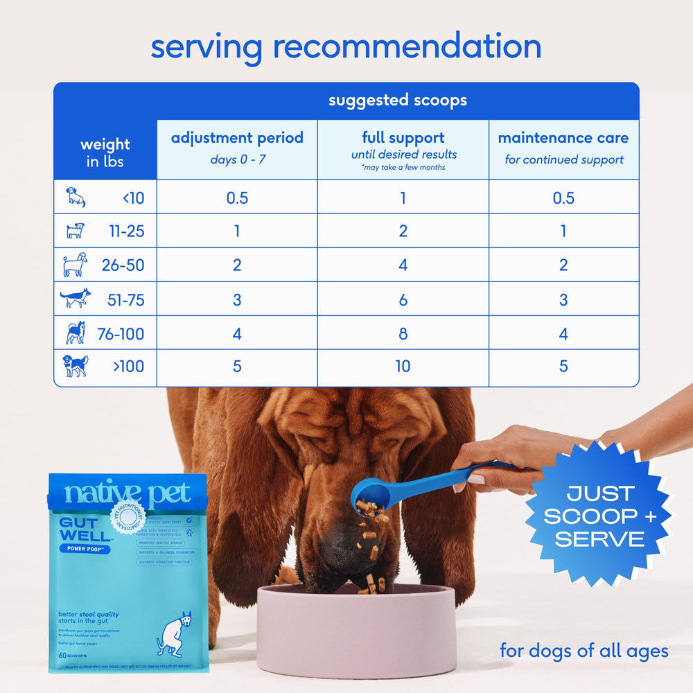 Mélange triple-biotiques sans remplissage artificiel GutWell Power Poop