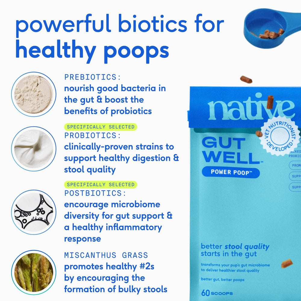 Format presse-a-froid de GutWell Power Poop pour une efficacité maximale