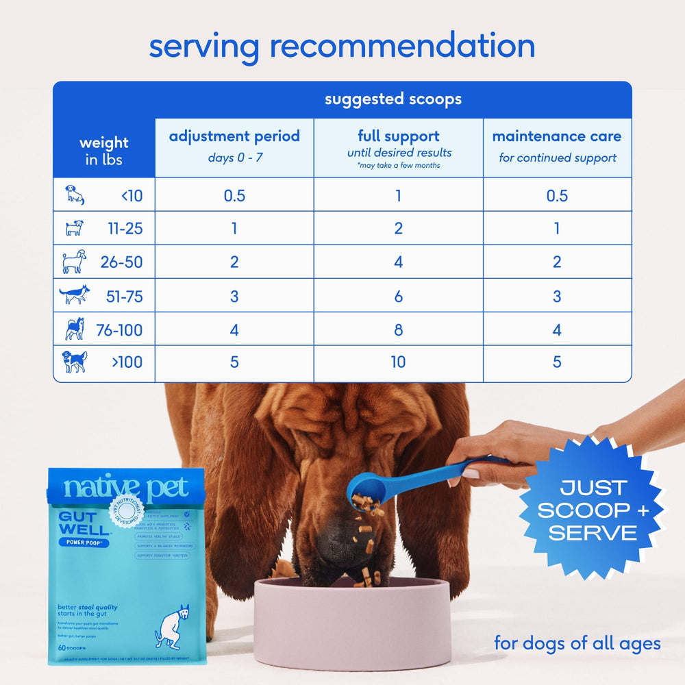 Native Pet GutWell Power Poop — mélange triple-biotiques pour soutenir la flore intestinale.