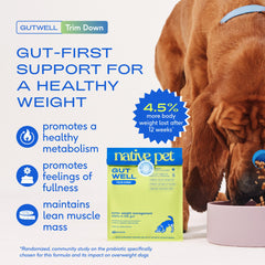 Native Pet GutWell Trim Down dosettes visibles, utilisation simple pour chaque repas.