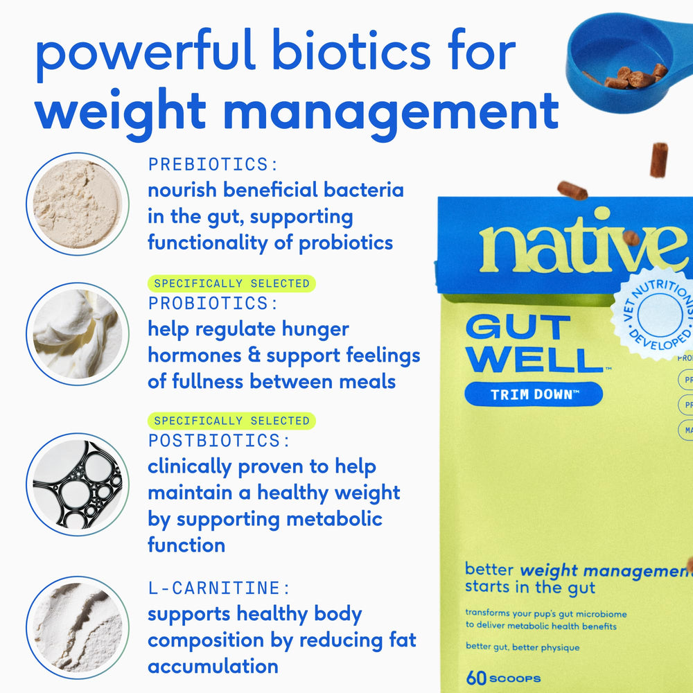 Native Pet GutWell Trim Down mélange triple-biotiques pour équilibre intestinal sans additifs.