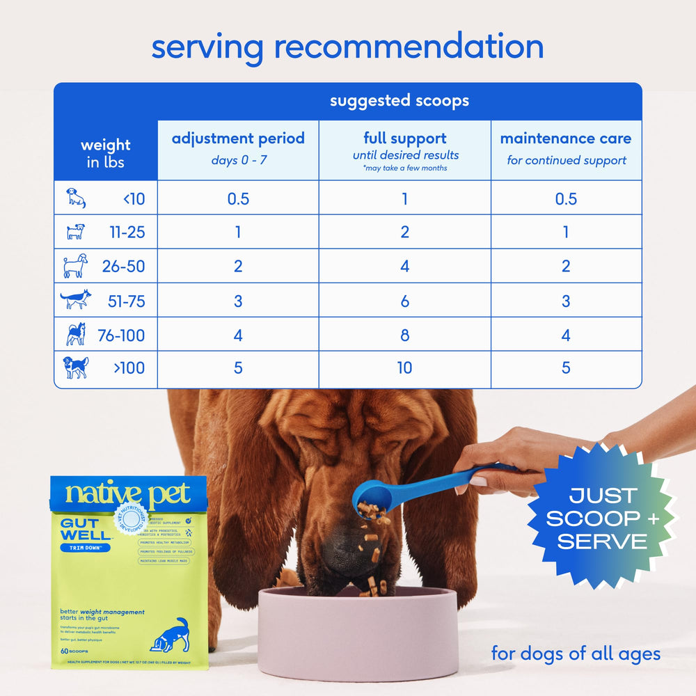 Native Pet GutWell Trim Down formulé par un nutritionniste vétérinaire.