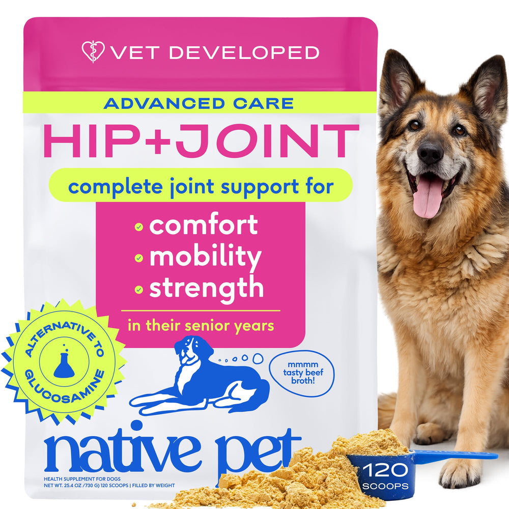 Native Pet hanche-articulation-poudre, soutien potentiel à la mobilité des chiens âgés.