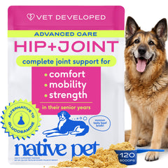 Native Pet hanche-articulation-poudre, soutien potentiel à la mobilité des chiens âgés.