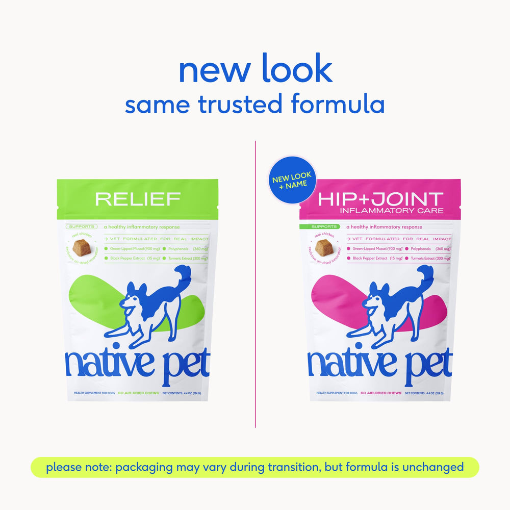 Native Pet Inflammatory Care – emballage fabriqué aux États‑Unis reflétant une formule propre.