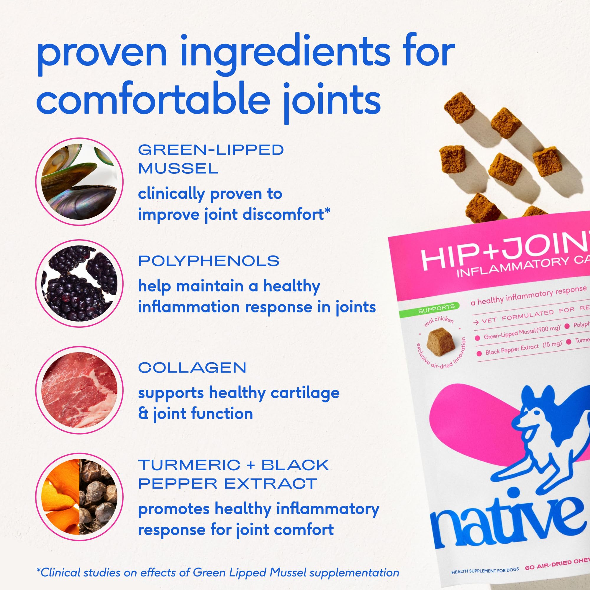 Native Pet Inflammatory Care – moule-verte, curcuma et collagène pour le soutien des articulations.