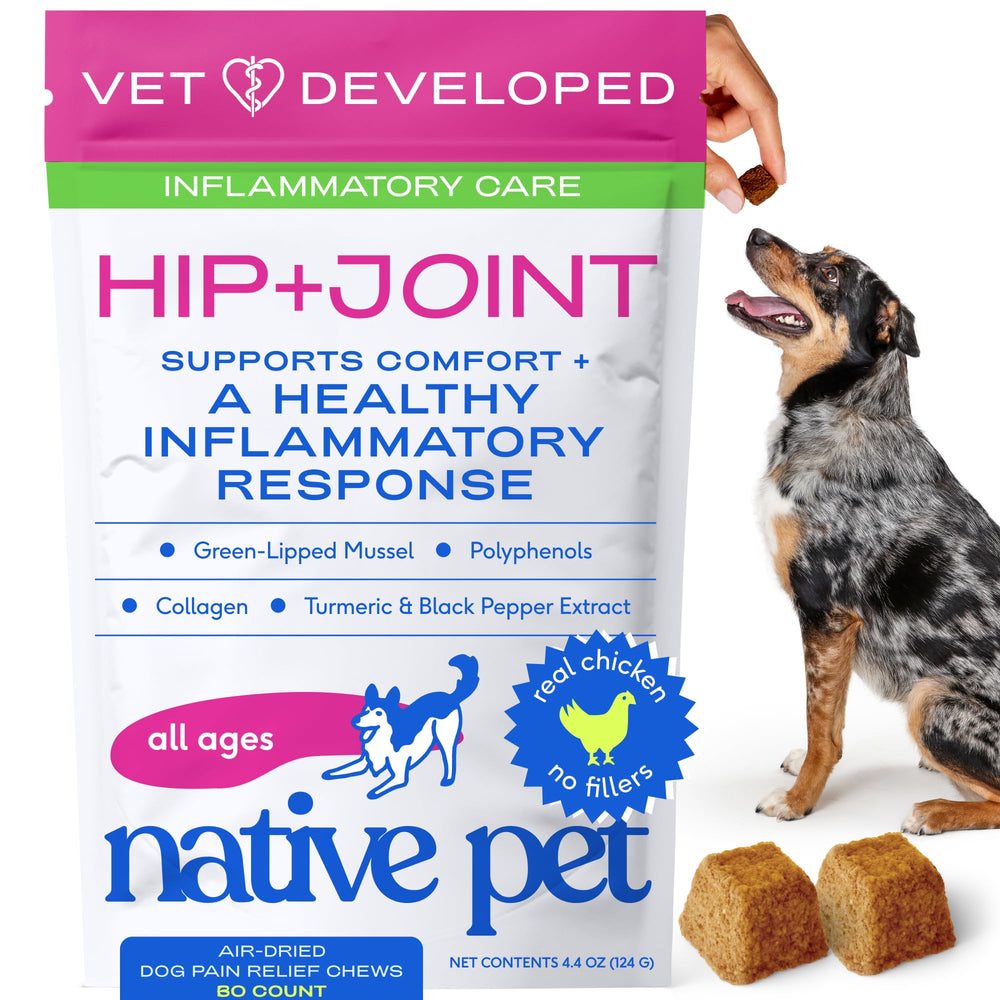 Native Pet Inflammatory Care – bouteille montrant l'emballage, soutien potentiel à la mobilité articulaire.