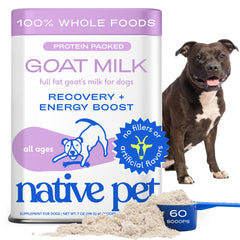 Native Pet Lait de chèvre en poudre pour chien: énergie durable et nutrition complète