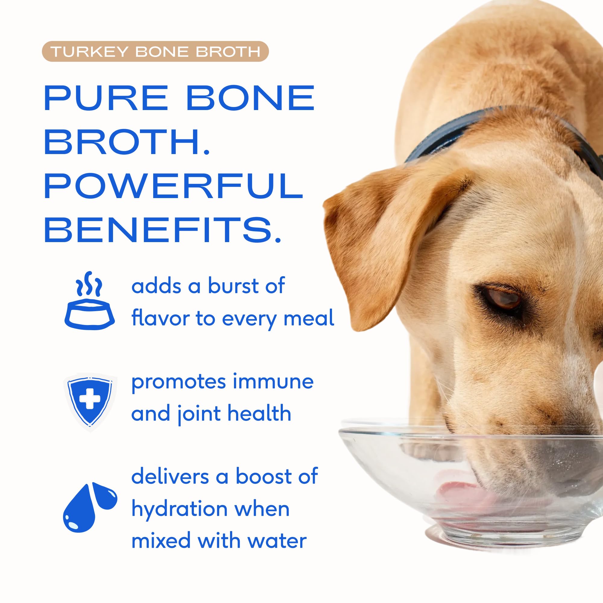 Nourriture sèche rehaussée par le bouillon dinde Native Pet