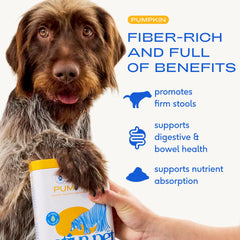 Native Pet poudre citrouille chien, fibres solubles et insolubles pour digestion potentielle.