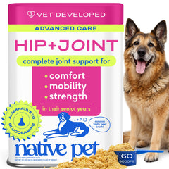 Native Pet Poudre hanche articulation: soutien mobilité chiens âgés.