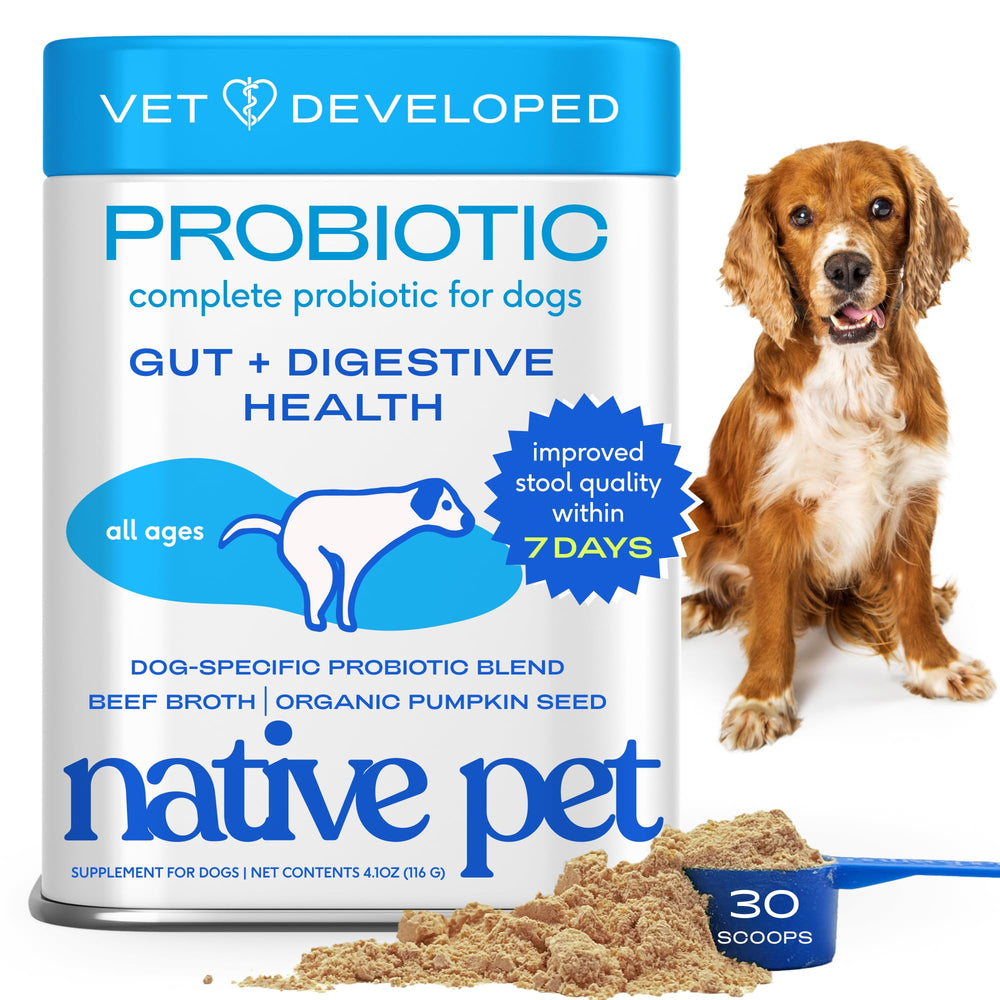 Native Pet Probiotiques pour chiens — bouteille et poudre, soutien digestif potentiel
