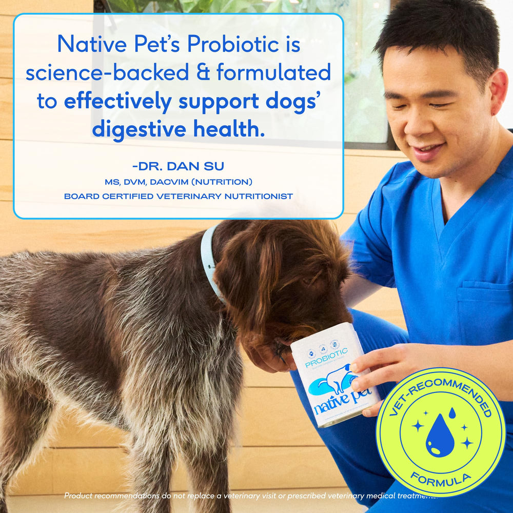 Native Pet Probiotiques pour chiens — fabriqué aux États‑Unis avec des standards de qualité.