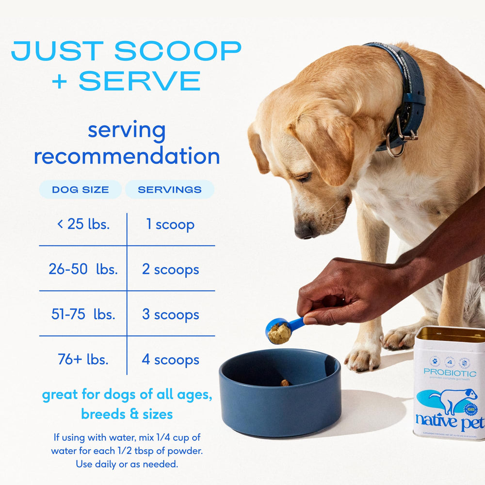 Native Pet Probiotiques pour chiens — formule développée par un vétérinaire, soutien digestif sans superflu.