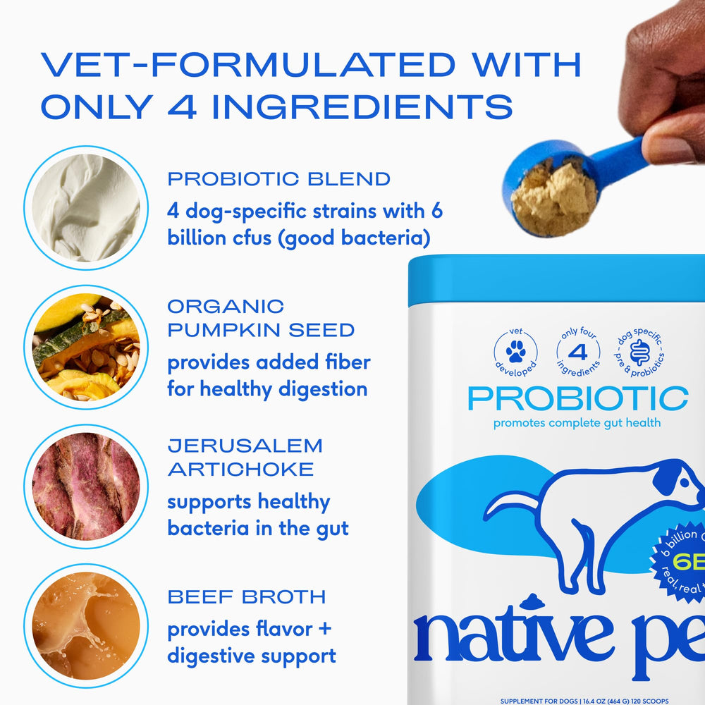 Native Pet Probiotiques pour chiens — chien heureux qui déguste le goût de bouillon de bœuf.