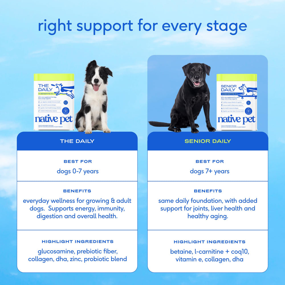 Native Pet Senior offre DHA et canneberge pour le bien-être