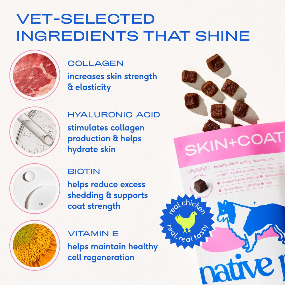 Native Pet Skin & Coat Chews, biotine-probiotiques: élasticité de la peau et équilibre intestinal