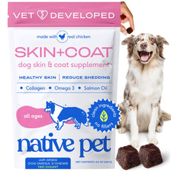 Emballage Native Pet Skin et Coat Chews pour le soin de la peau du chien.
