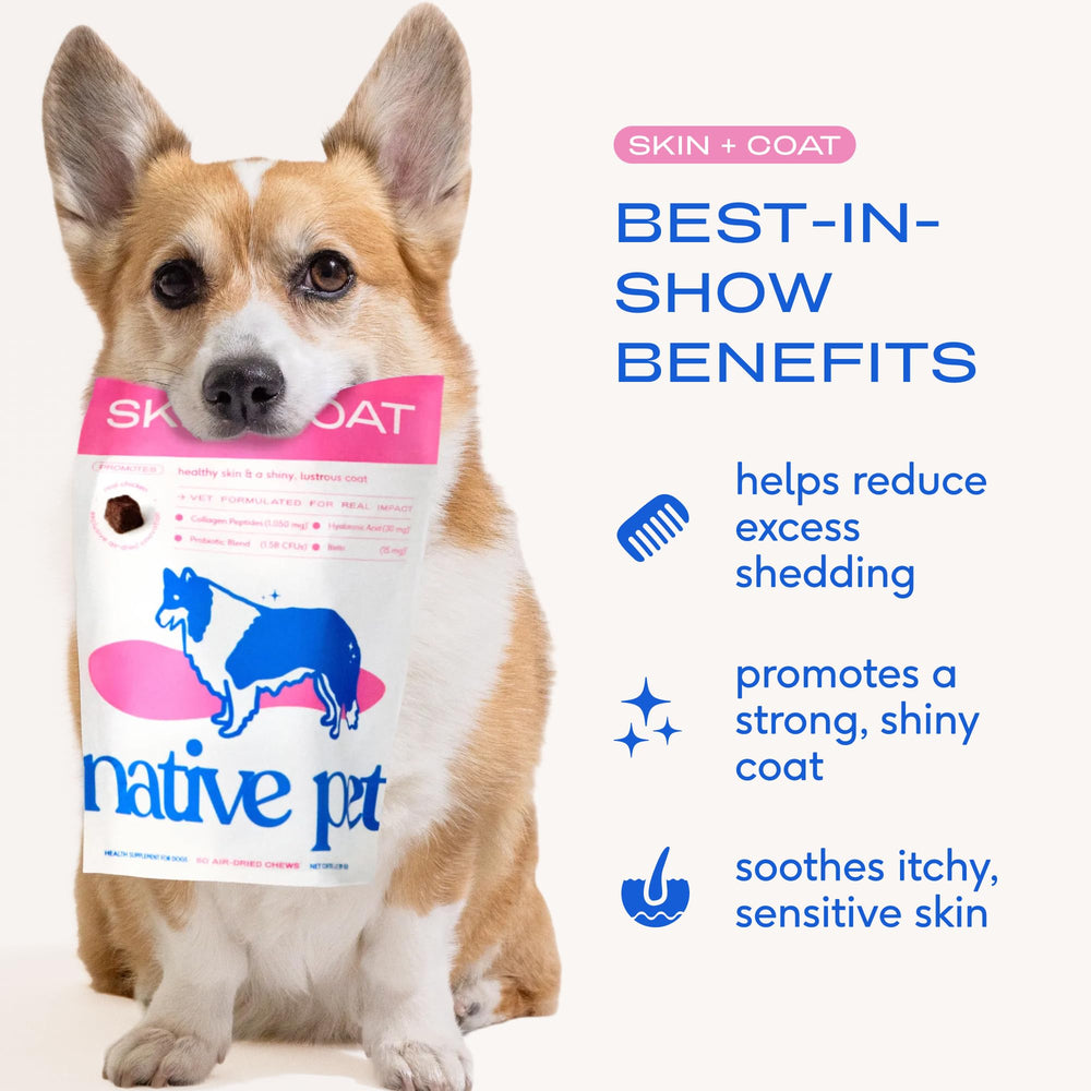 Native Pet Skin & Coat Chews, oméga-3 saumon: nourrit le pelage et la peau