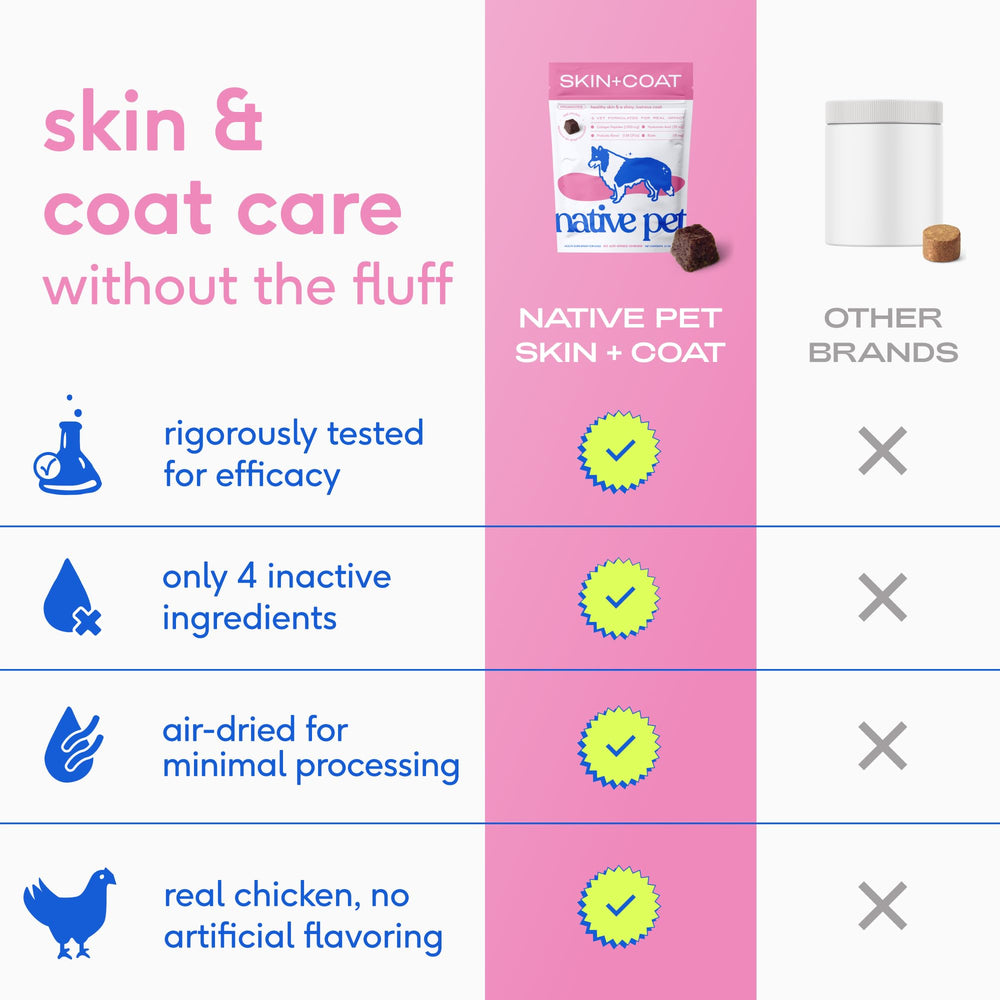 Native Pet Skin & Coat Chews, peau hydratée et barrière cutanée renforcée.