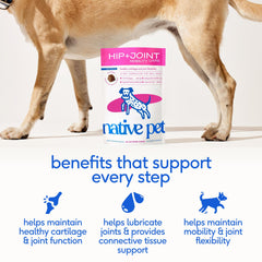 Native Pet UC-II Cartilage: soutien du cartilage et des articulations.