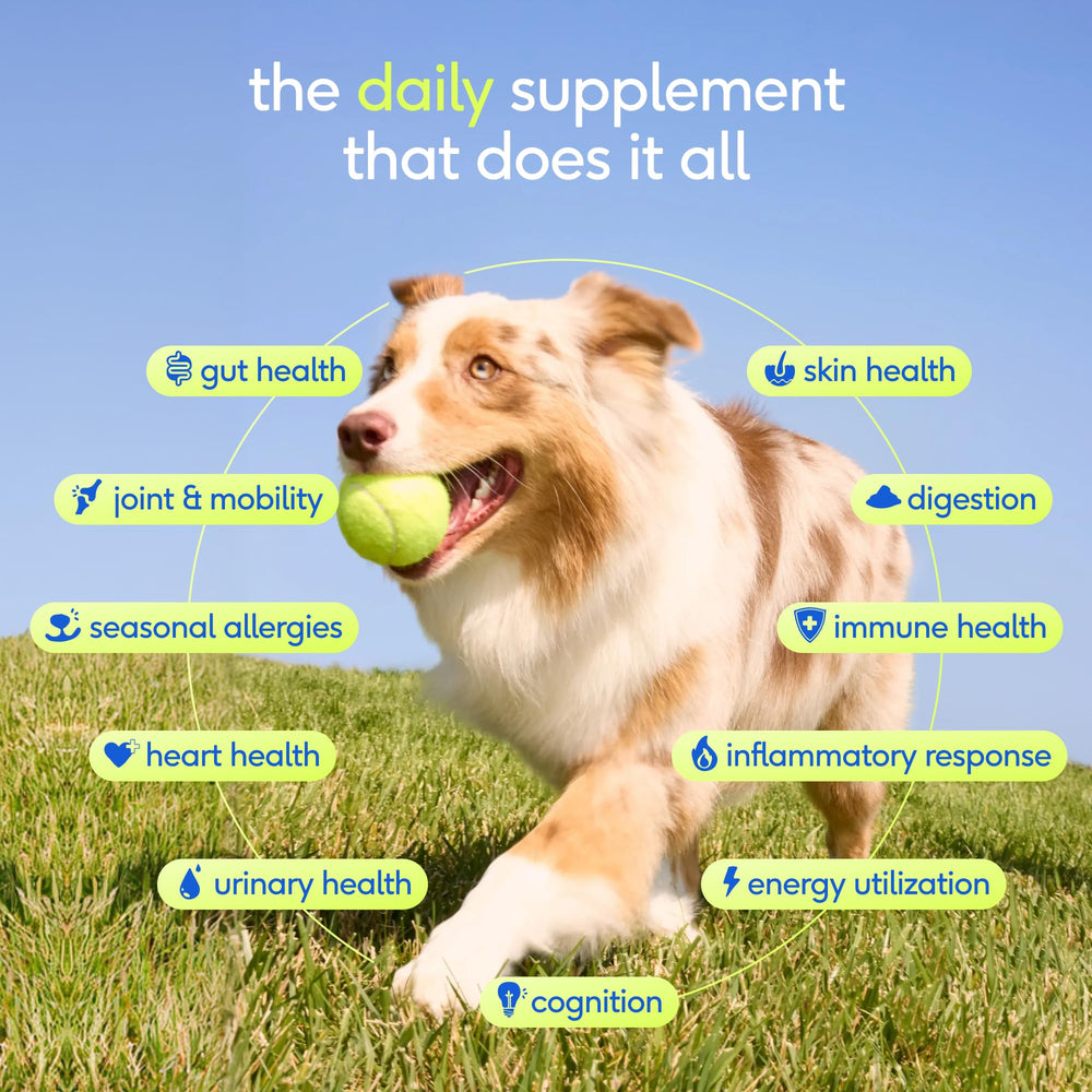 Native Pet poudre pour chien: emballage et cuillère-dose facilitent l'ajout