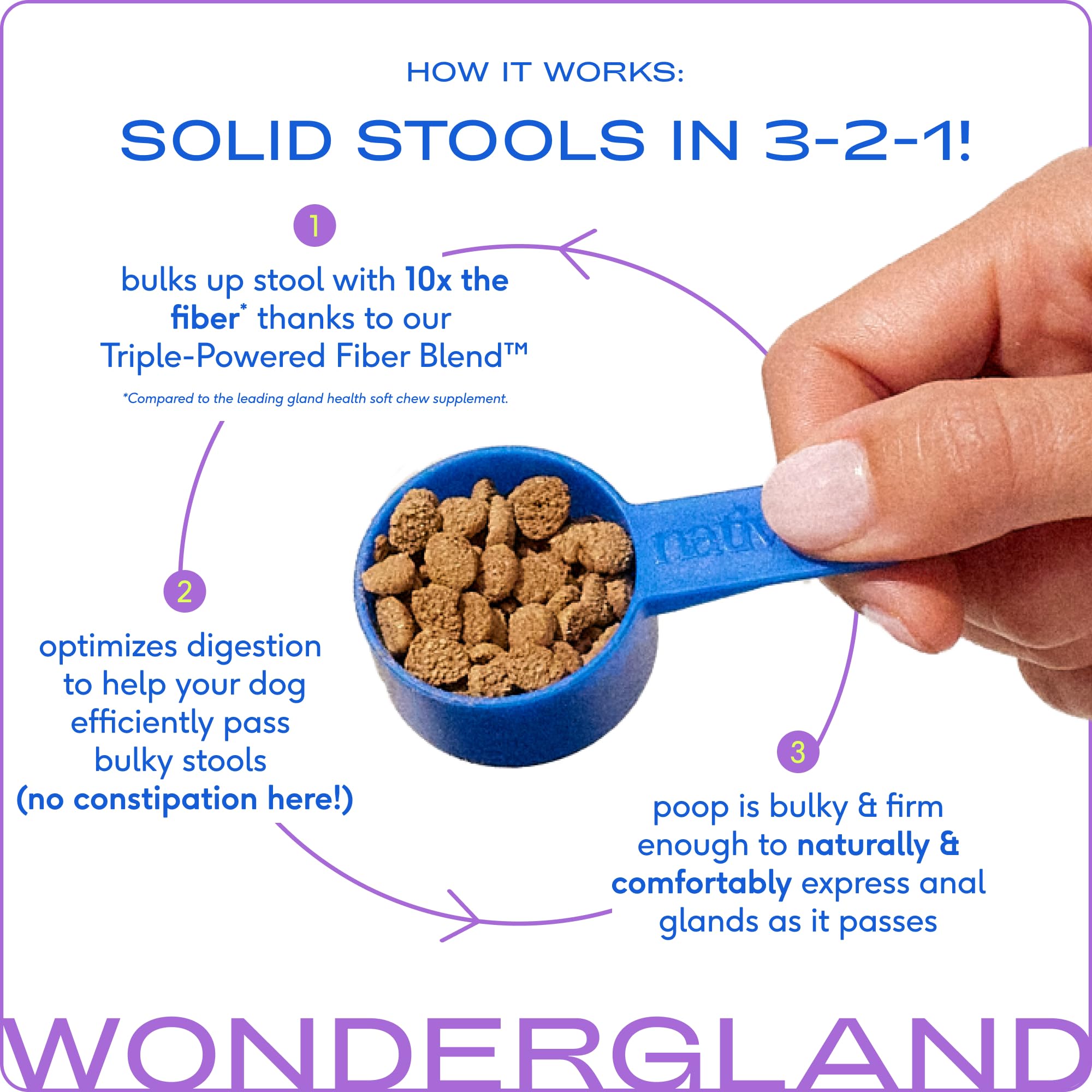 Native Pet WonderGland, poudre citrouille offrant fibre et texture appétible