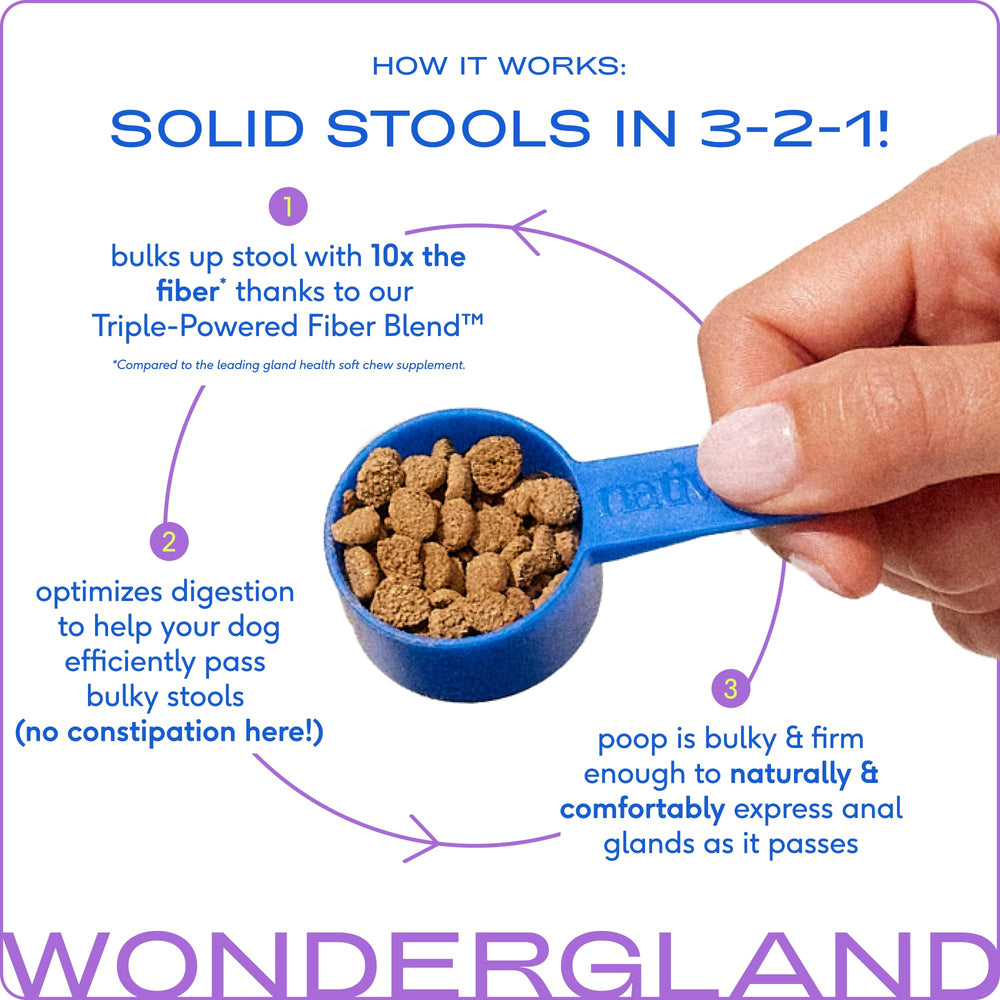 WonderGland — poudre de miscanthus pour fibres digestives