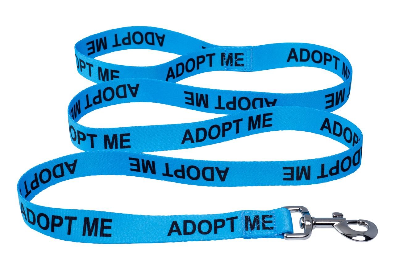 Native Pup Adopt Me laisse en polyester durable pour jeux en plein air.