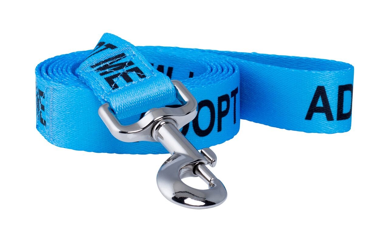 Native Pup Adopt Me laisse motif répétitif bleu lors d'une promenade.