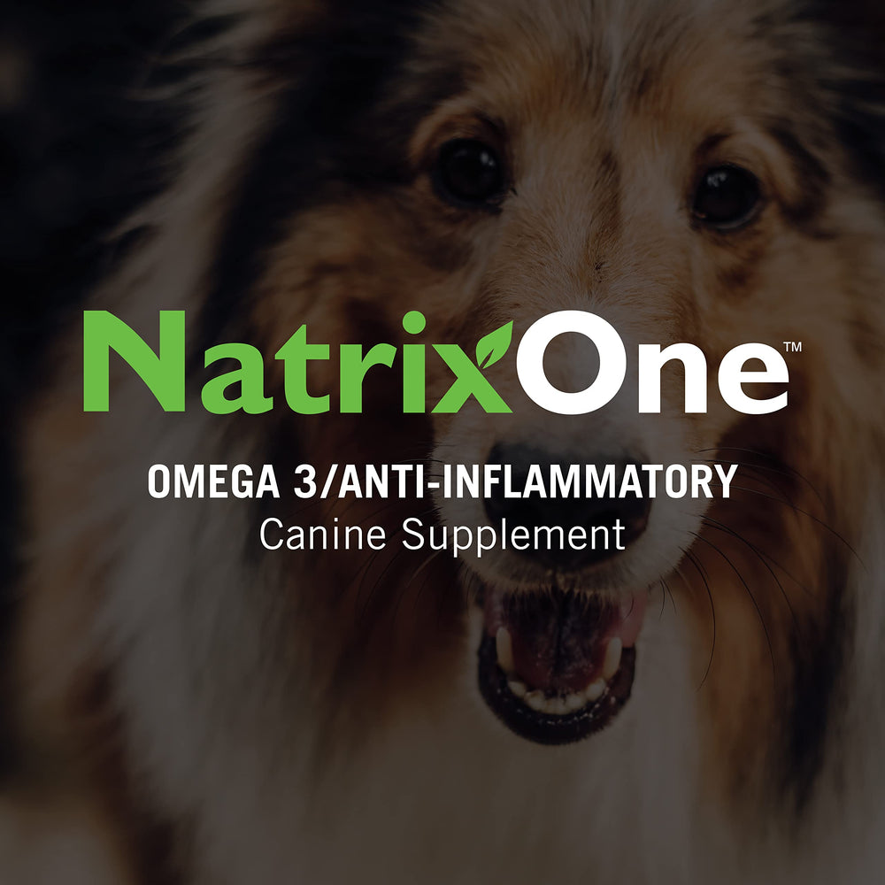NatrixOne huile camelina chien — démarche durable et traçabilité du procédé.