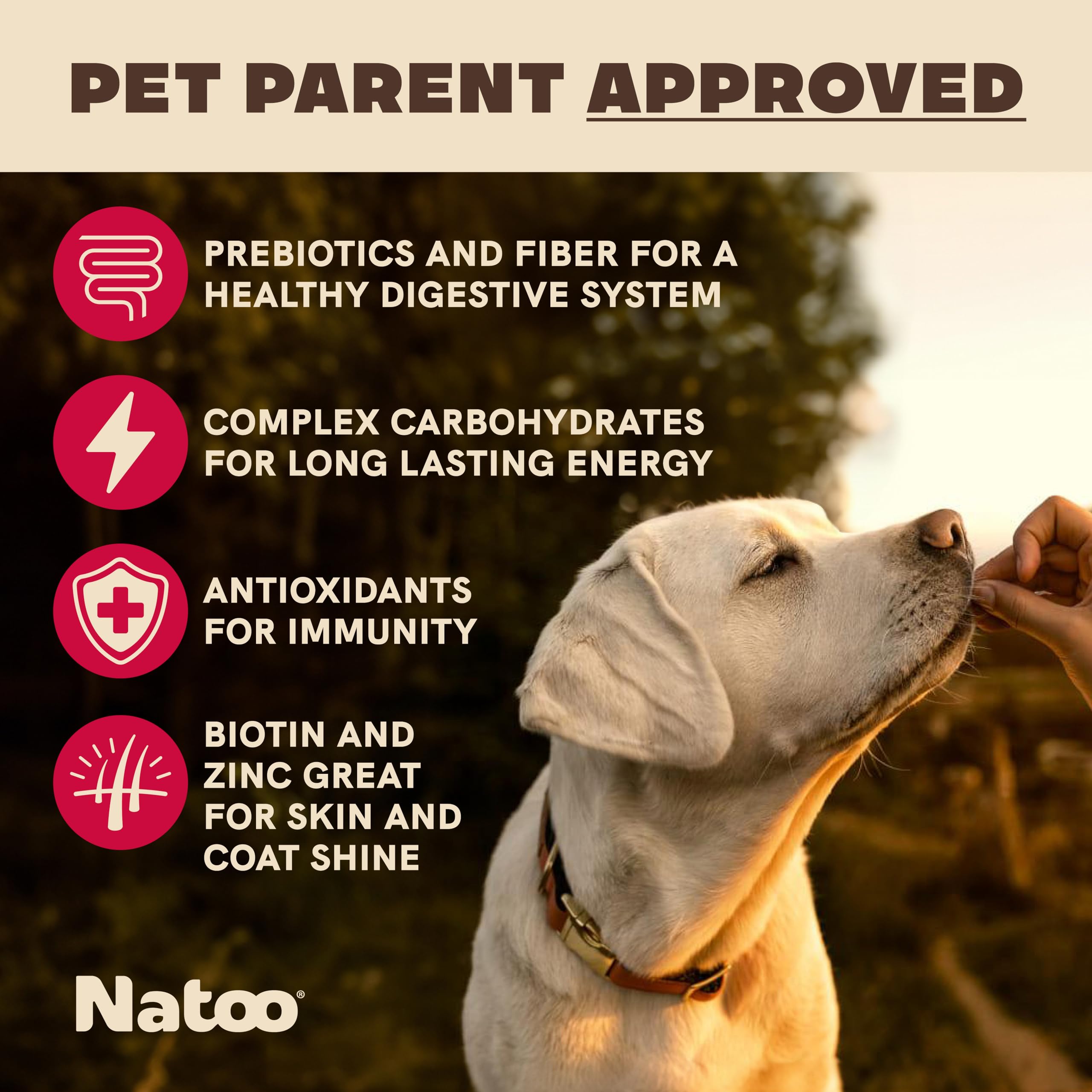 NATOO Biscuits chien petit – biscuit croquant en gros plan.