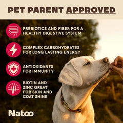 NATOO Biscuits chien petit – biscuit croquant en gros plan.