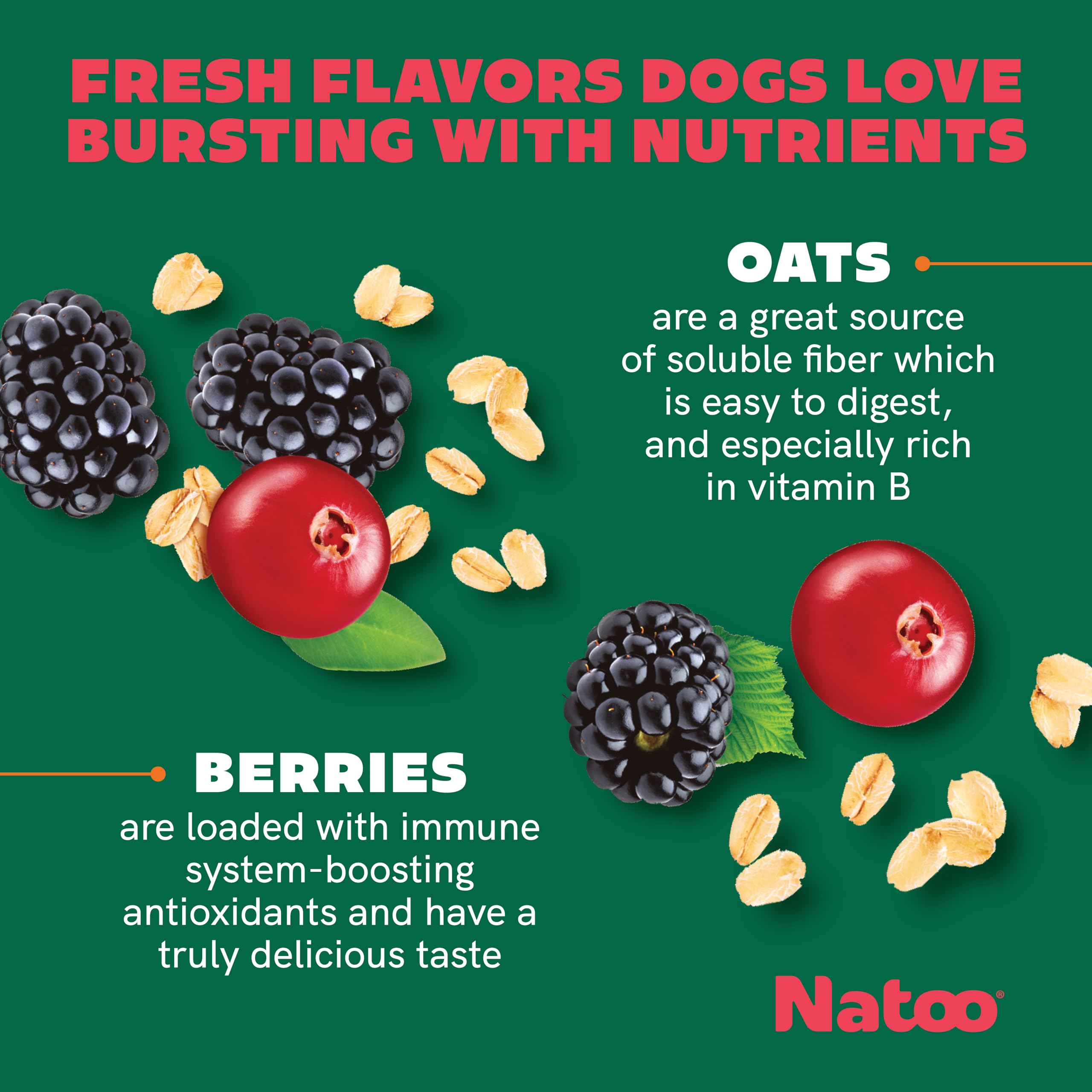 NATOO Biscuits chien petit – bol de biscuits prêt à partager.