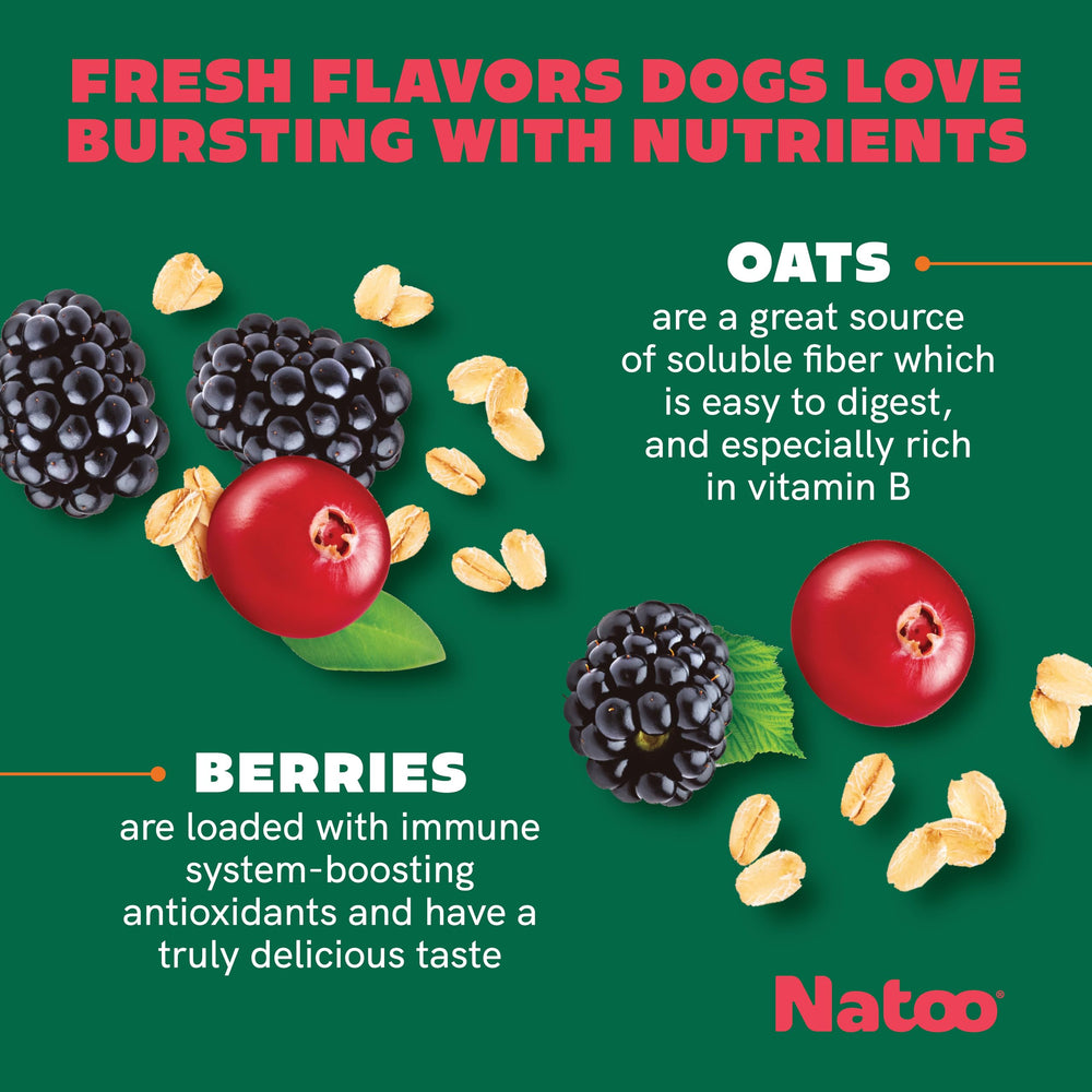 NATOO Biscuits chien petit – bol de biscuits prêt à partager.