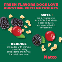NATOO Biscuits chien petit – bol de biscuits prêt à partager.
