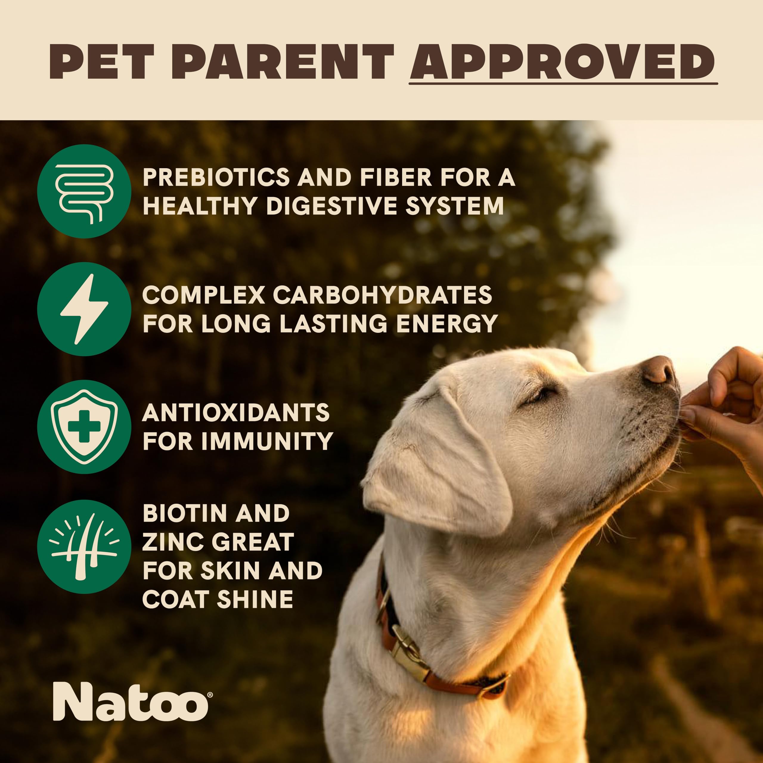 NATOO texture croquante – biscuit savoureux pour récompense et joie du chien.
