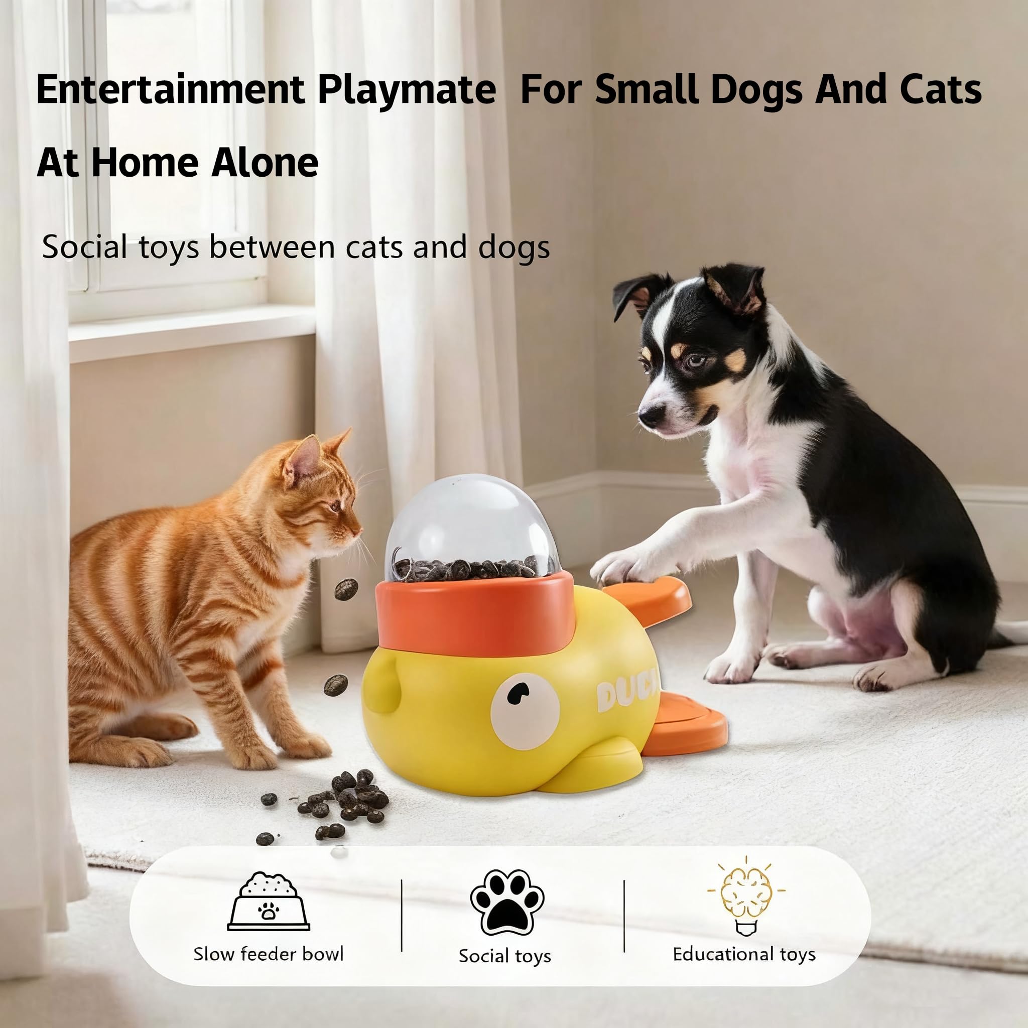 Naturael action-queue-poussee, jeu interactif renforçant le lien avec l’animal.
