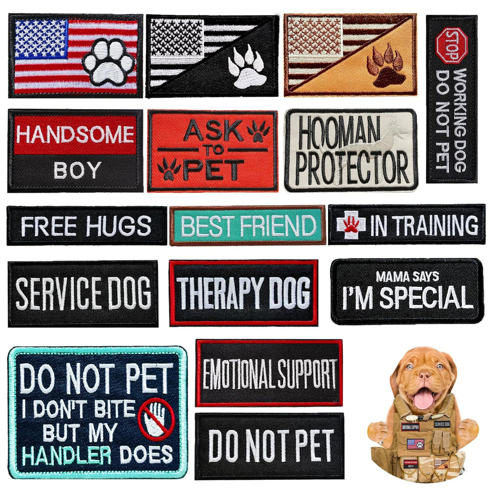 Patchs Naturahand pour harnais chien, variés pour l'entraînement et le jeu quotidien.