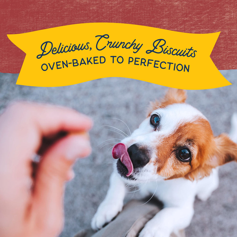 Natural Balance biscuits digestifs – format petit morceau pour petites races.