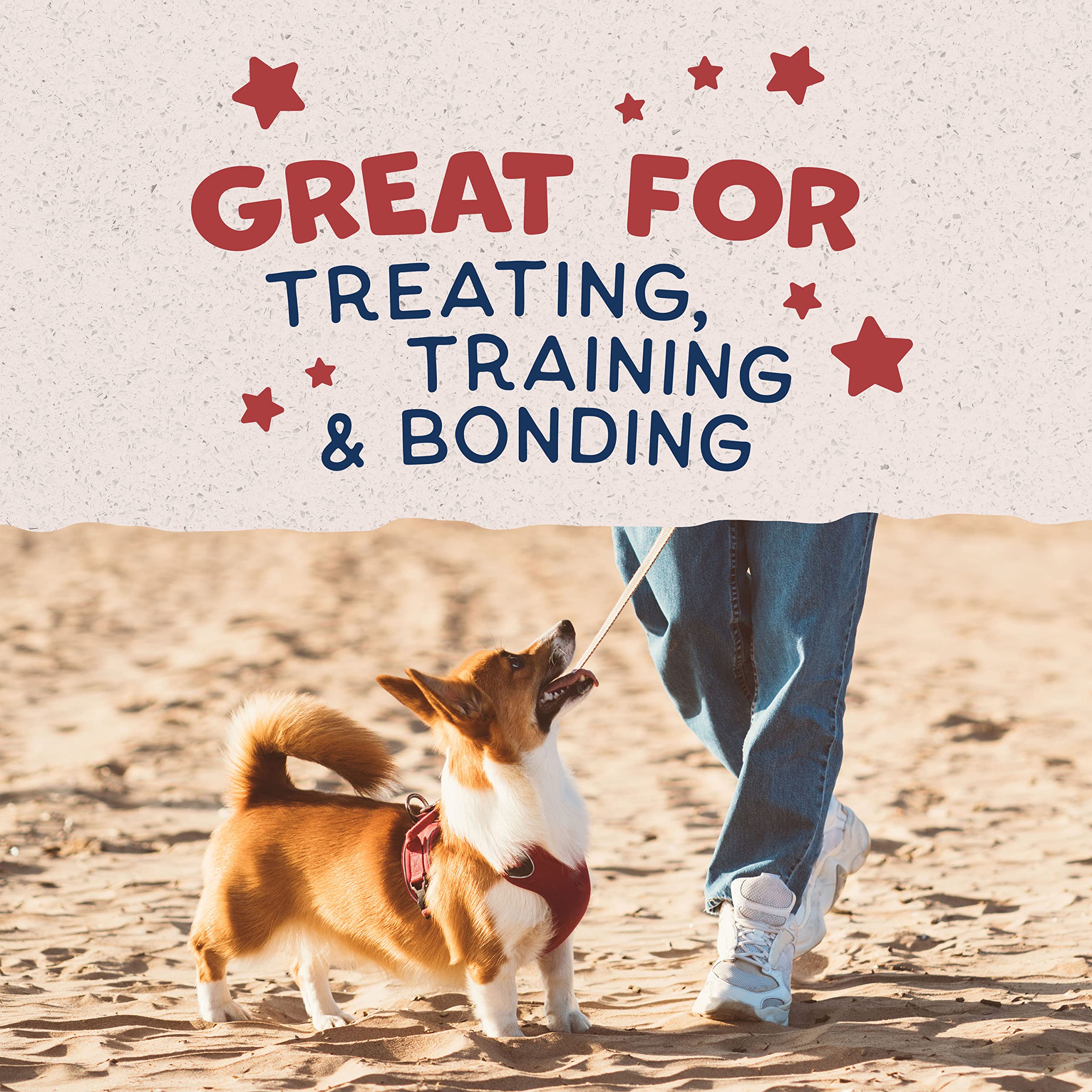 Natural Balance friandises sans colorants – récompense naturelle pour chien.