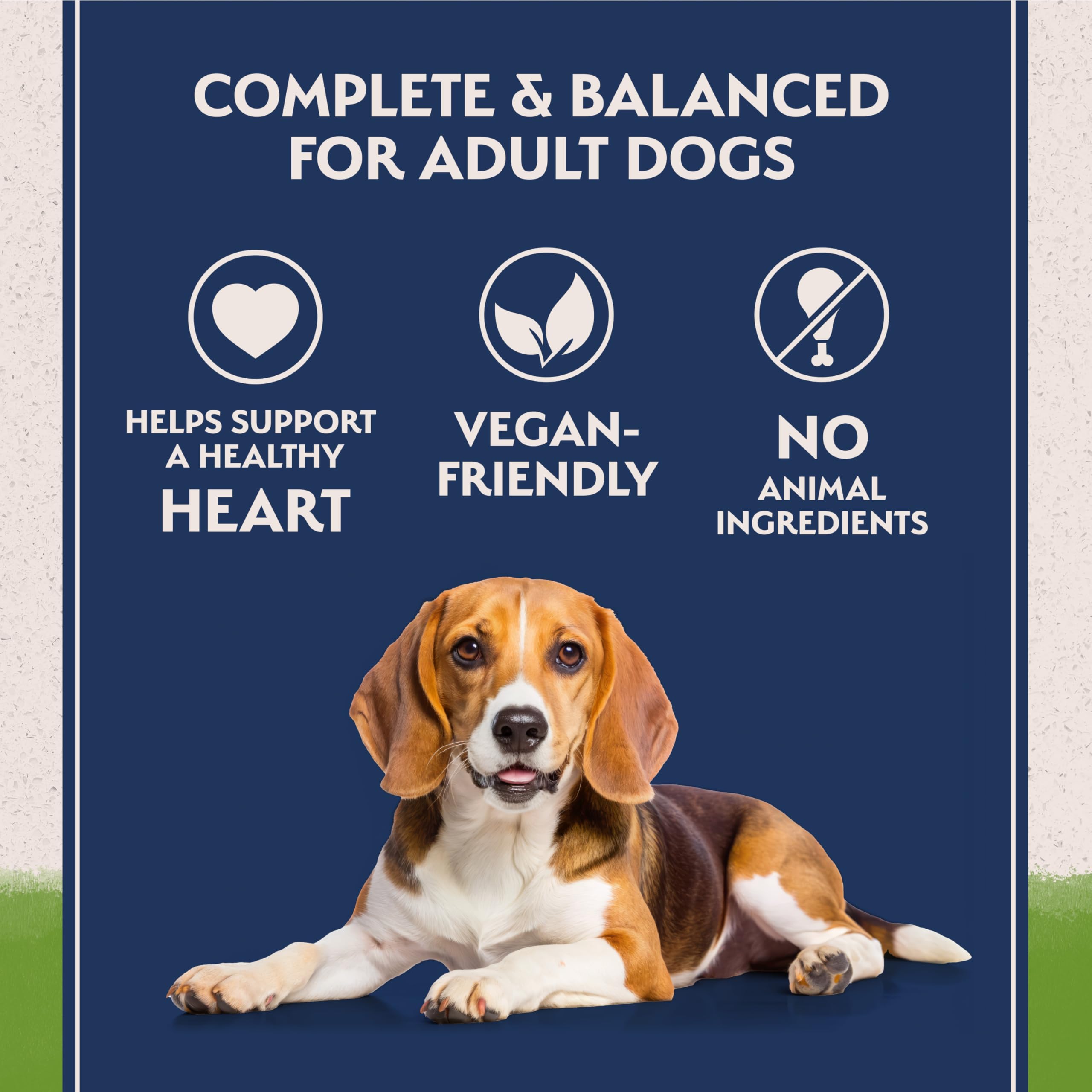 Natural Balance boîtes chien végétale – pommes de terre et petits pois nourrissent sans produits animaux