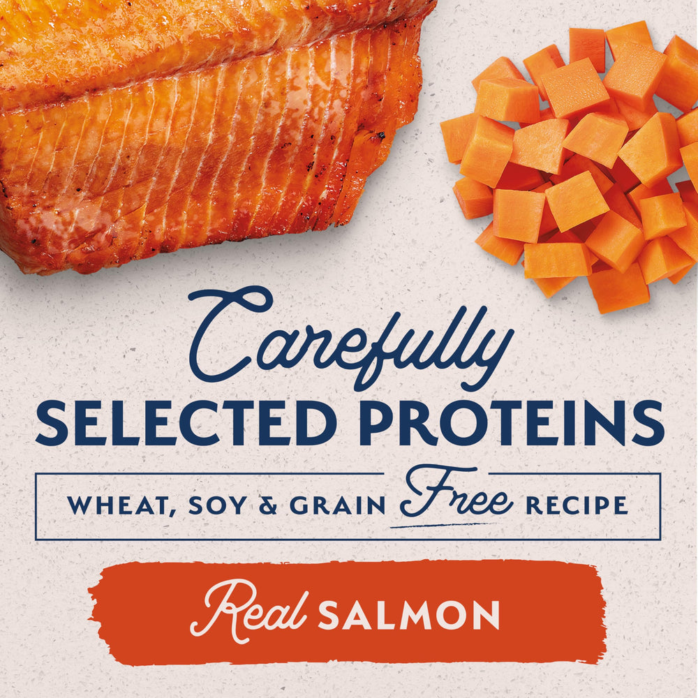 Natural Balance conserve pour chien, poisson et bouillon, saveur riche et digestion facilitée.