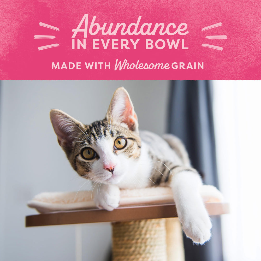 Natural Balance Fat Cats emballage transparent assure traçabilité et sécurité.